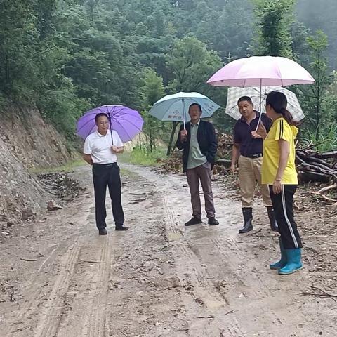 未雨绸缪保安全，防台防汛垫基础