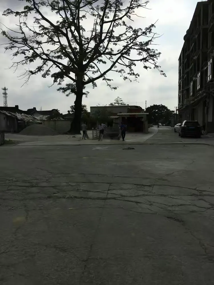 贵屿创文进行中