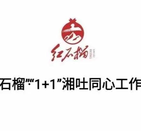 学习新课标，树立新理念——高昌区第一小学与湖南株洲芦淞区何家坳小学师徒共同研读新课标