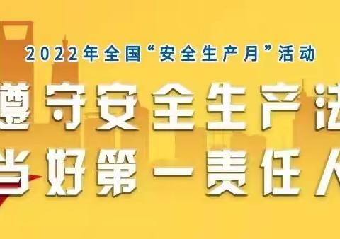 遵守安全生产法  当好第一责任人——全国安全生产月主题班会