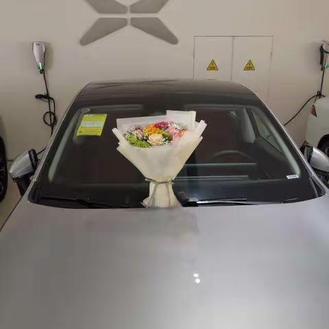 荷叶杯•我爱你