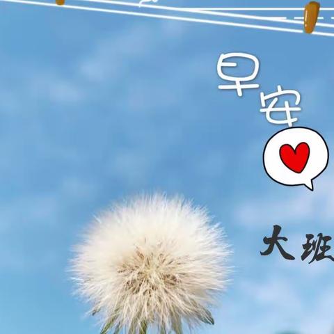 ❤️时光不语，静待花开