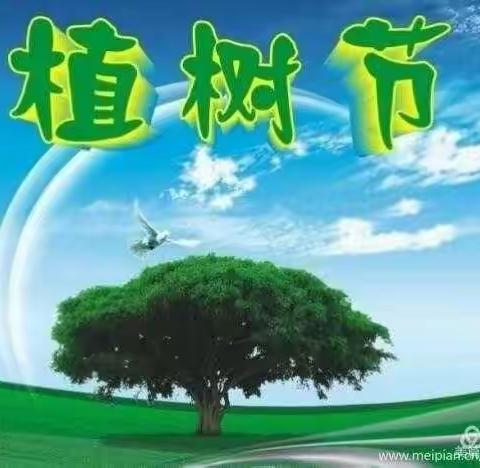 格林宝宝幼儿园中二班植树节活动🌳🌱🌲🌴