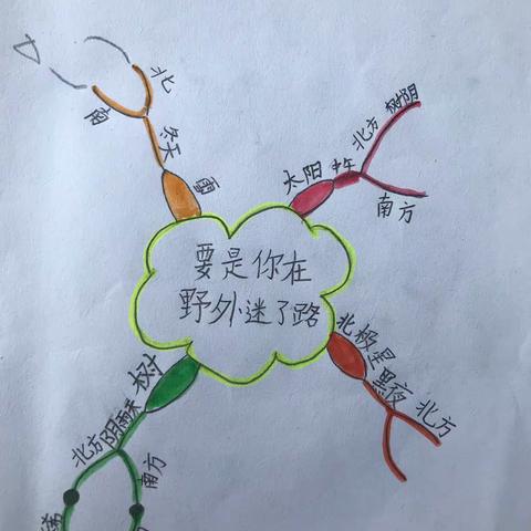 小试牛刀——二年级学生第一次思维导图学习