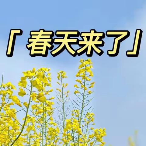 “春暖花开，播种未来”——-莱溪乡九联幼儿园春天生成活动