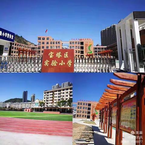 “扫黄打非”主题教育班会