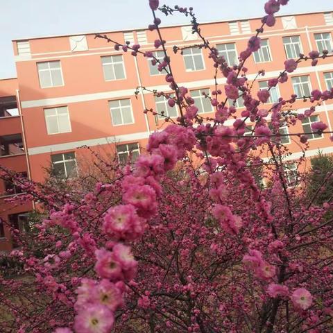 姚店小学常规教务作业检查