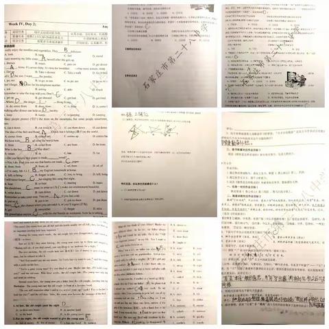 八星十一班8组学习报告