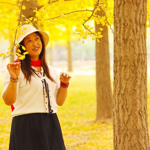 橙黄橘绿秋之韵