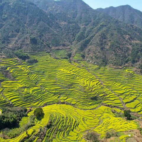 婺源篁岭景区