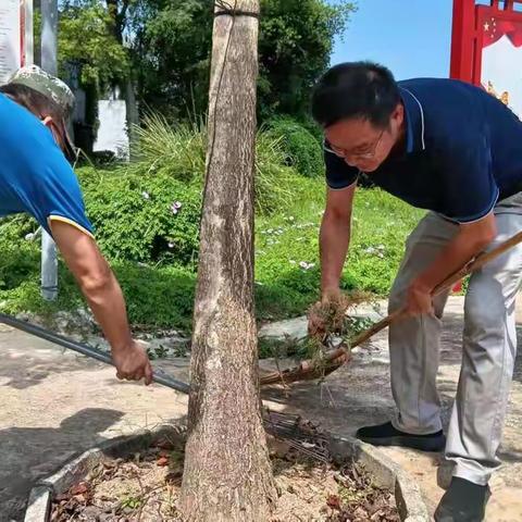 儋州市就业服务中心党支部到峨蔓镇开展主题党日活动