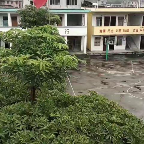 马山县百龙滩镇南新小学开学准备工作（副本）