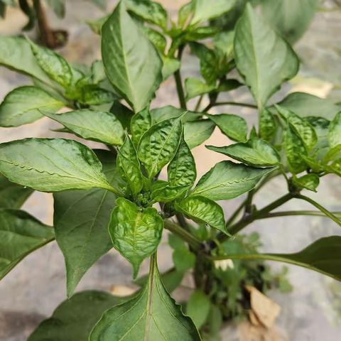 520，不只是爱情