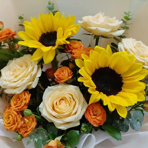 著名儿童文学作家安武林老师阅读写作分享会🥳