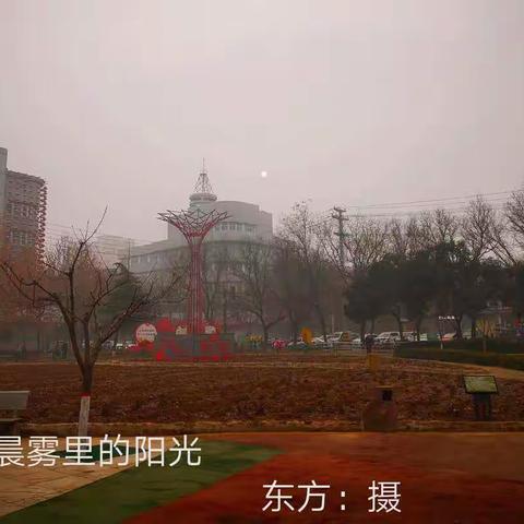 晨雾里的太阳,露出圆圆的笑脸。