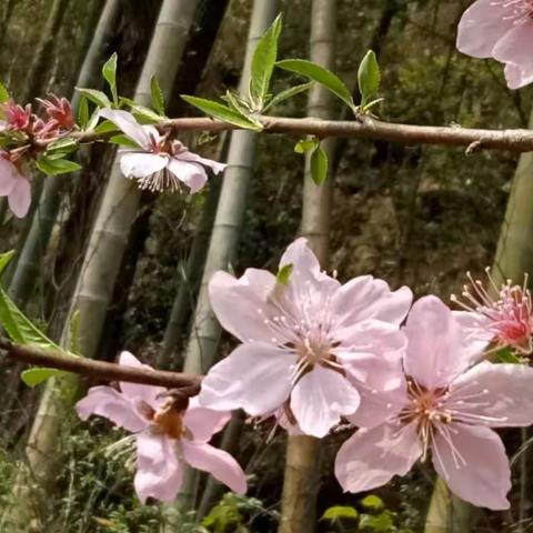 加强网课学习，力争不落一生