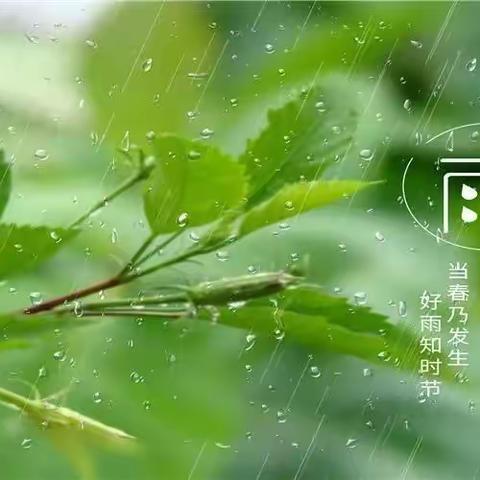 春雨至，万物生——常路镇中心学校五级部雨水节气主题活动