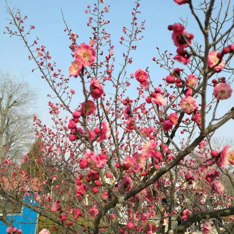 2017年2月25日生态公园游记