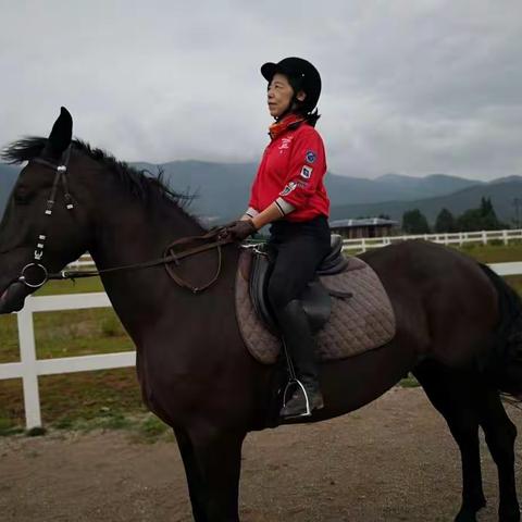 在丽江当牧马人的日子