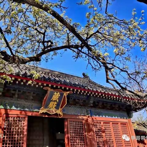 智化寺--土木堡--王振和明英宗的那些事儿