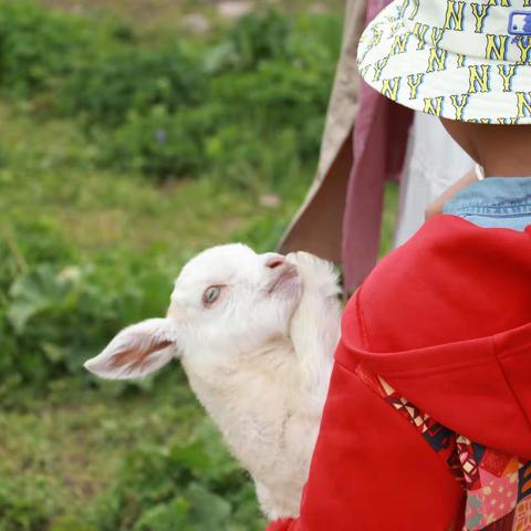 盛夏阳光洒落，享受快意生活