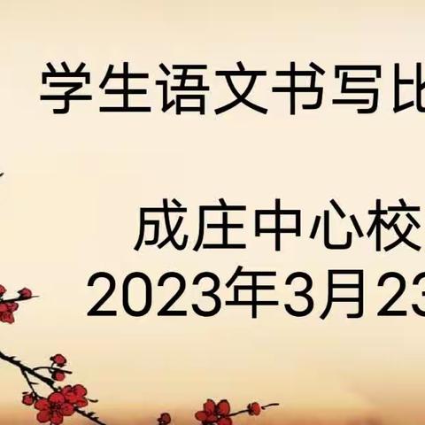 写规范字，扬中国文化———洪官屯镇成庄中心校语文书写比赛活动