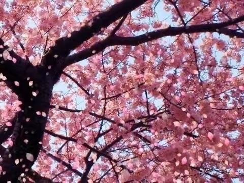 【长相思】二首