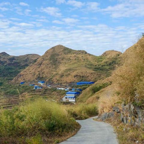 养殖黑山羊共同富裕