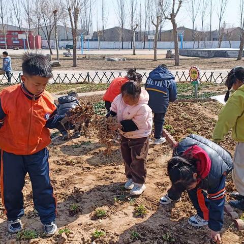 不负农时不负春🌻“蚂蚁农场”春耕忙