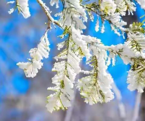 义务除雪 爱满校园