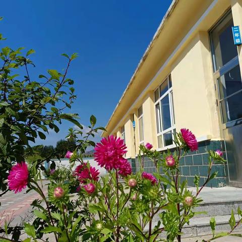 黑牛营子乡五家子小学秋季学初准备工作纪实