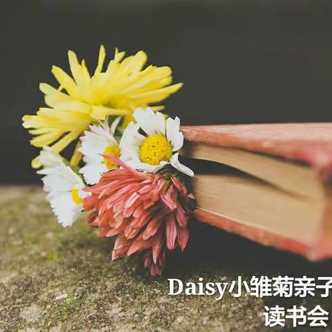 Daisy小雏菊亲子英文绘本读书会7st--西宝家