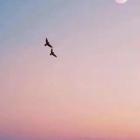 心有阳光的美篇