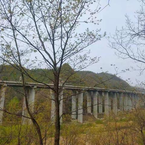 秋已过，冬已到