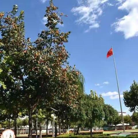 云端守望 静待花开——致教师及亲属的一封信