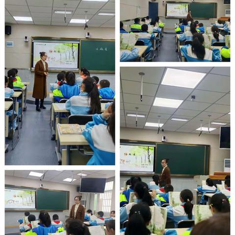 送教下乡  携手共进