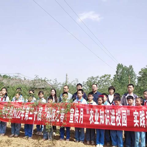 劳动“椒”育进校园  实践活动出真知——零公里实验学校开展劳动教育实践活动