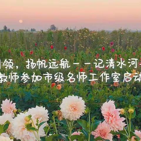 名师引领，扬帆远航——记清水河县小学英语教师参加市级名师工作室启动仪式