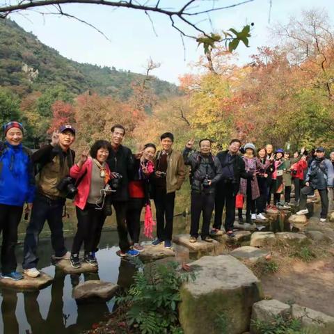 《我的摄影，我们团》一常熟市老年大学摄影班作品选