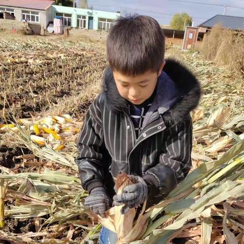 科右前旗第一小学“线上抗疫 、美在云端”居家劳动实践纪实