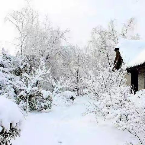 昨夜的雪