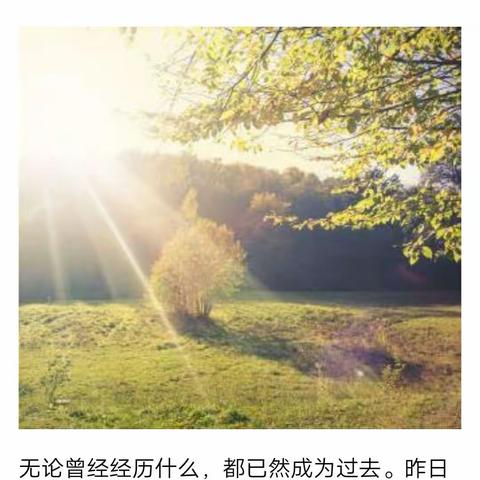 不负春光