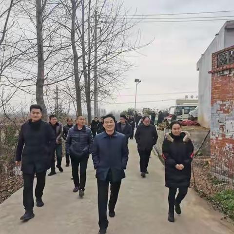 授红旗  插黑旗  卧龙区谢庄镇掀起人居环境改善冬春攻坚行动新高潮