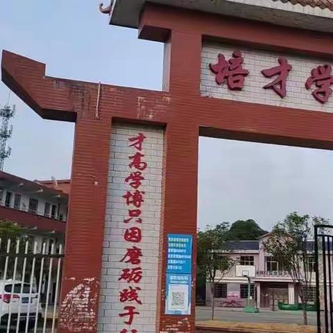 三尺讲台齐争艳，教研活动展风采—培才学校公开课活动