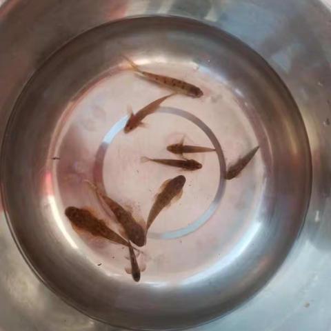 有趣的国庆🇨🇳