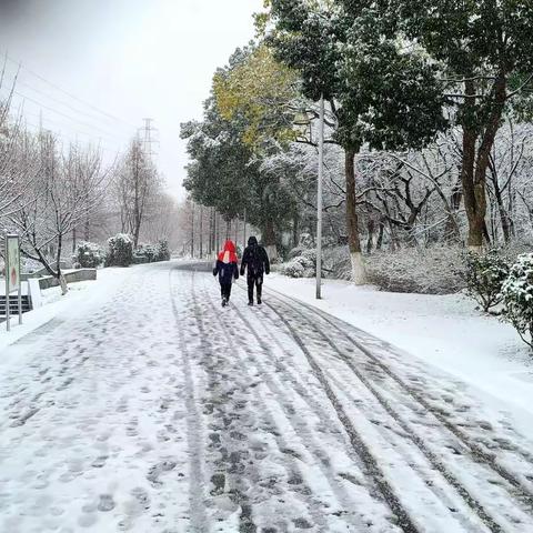 2022年2月南京第一场大雪