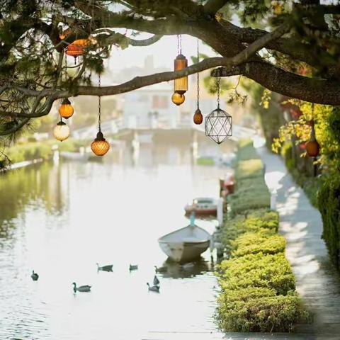 【李口镇小学附属幼儿园】端午节放假通知及温馨提示