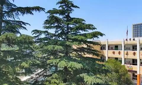 西安市浐灞第十三小学2022秋季入学需求摸底开始啦！