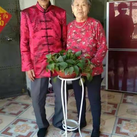 幸福大家庭；原始家庭的生活、快乐、欢笑现在都成美好的回忆！