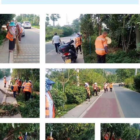 整治提升正当时 人居环境换新颜—抱龙村7月底开展人居环境整治行动纪实